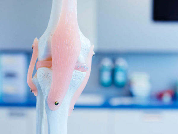 Behandlung von Knieerkrankungen – Dr. Stricker
