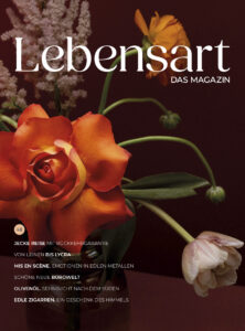 E-Magazin 1