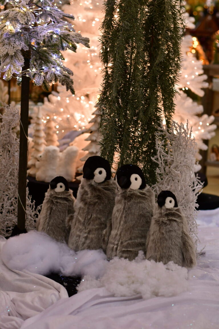 Dinger’s Gartencenter Köln 44 Dinger’s Gartencenter Köln 43