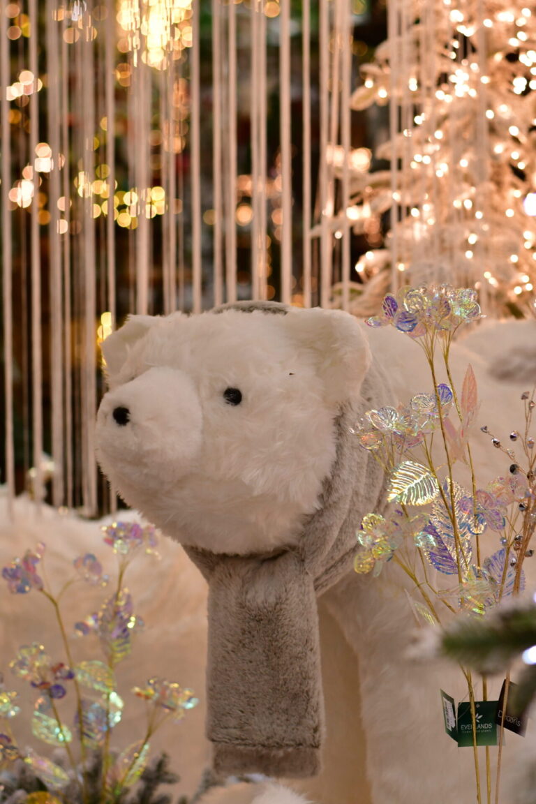 Dinger’s Gartencenter Köln 42 Dinger’s Gartencenter Köln 41