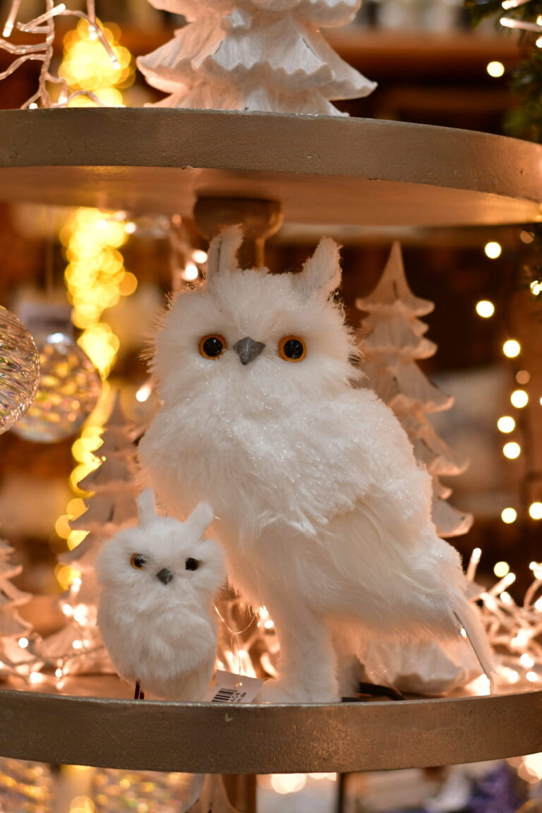 Dinger’s Gartencenter Köln 40 Dinger’s Gartencenter Köln 39