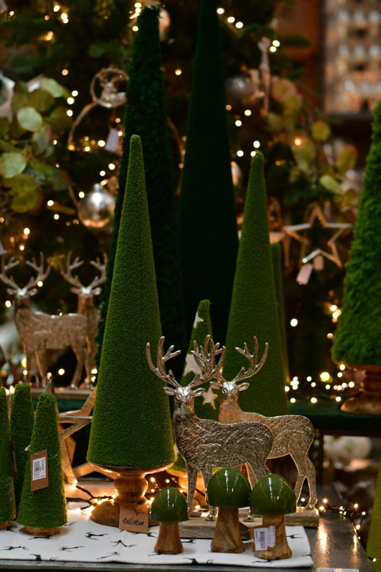 Dinger’s Gartencenter Köln 36 Dinger’s Gartencenter Köln 35