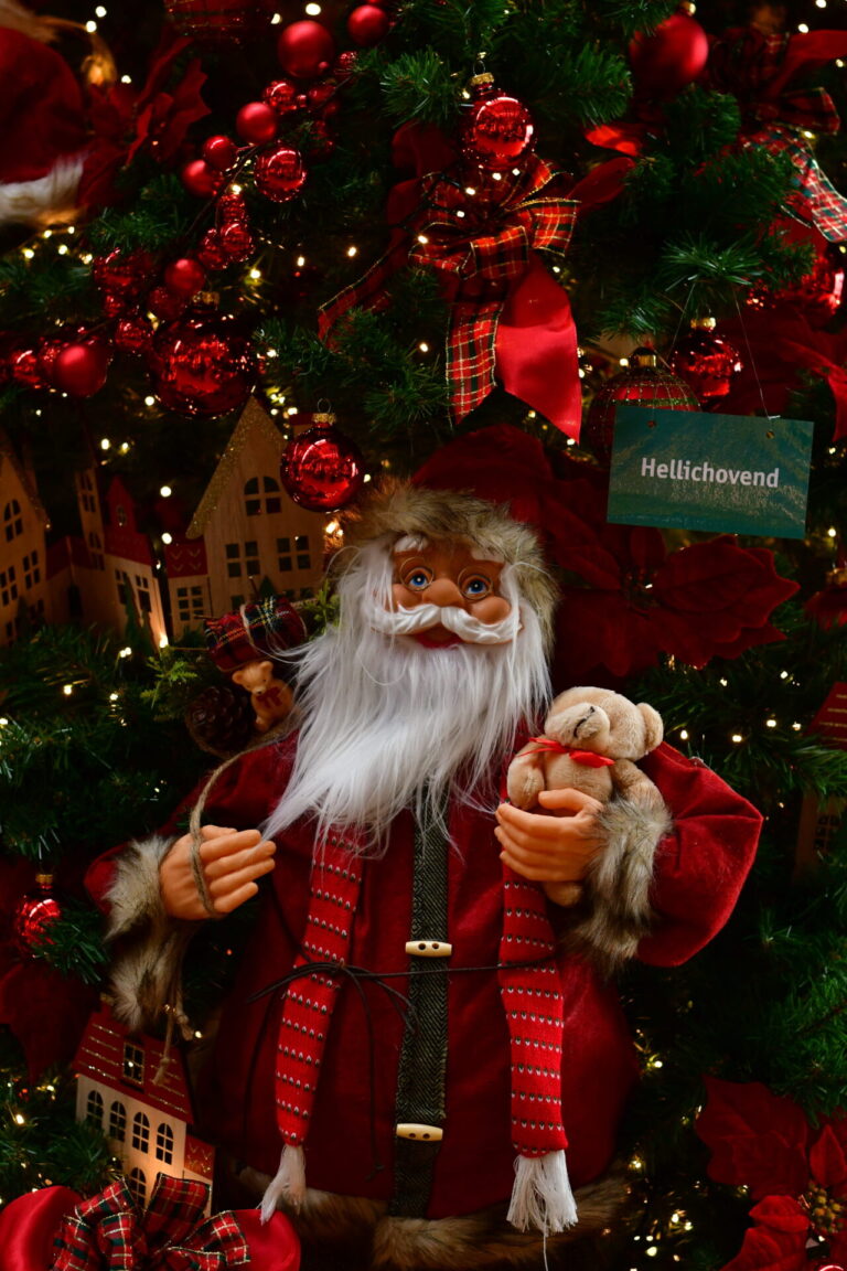 Dinger’s Gartencenter Köln 34 Dinger’s Gartencenter Köln 33