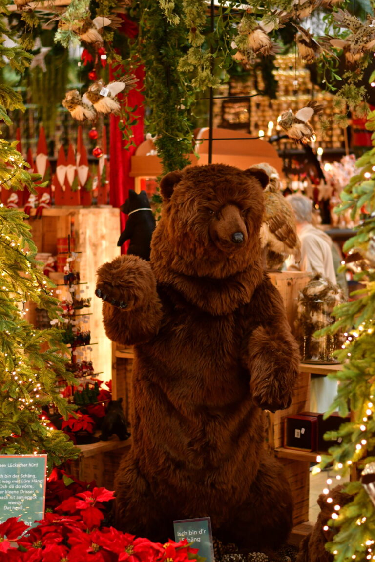 Dinger’s Gartencenter Köln 32 Dinger’s Gartencenter Köln 31