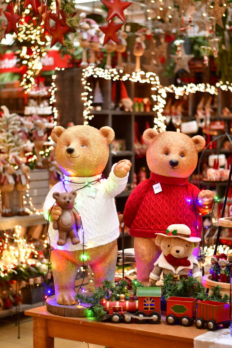 Dinger’s Gartencenter Köln 30 Dinger’s Gartencenter Köln 29