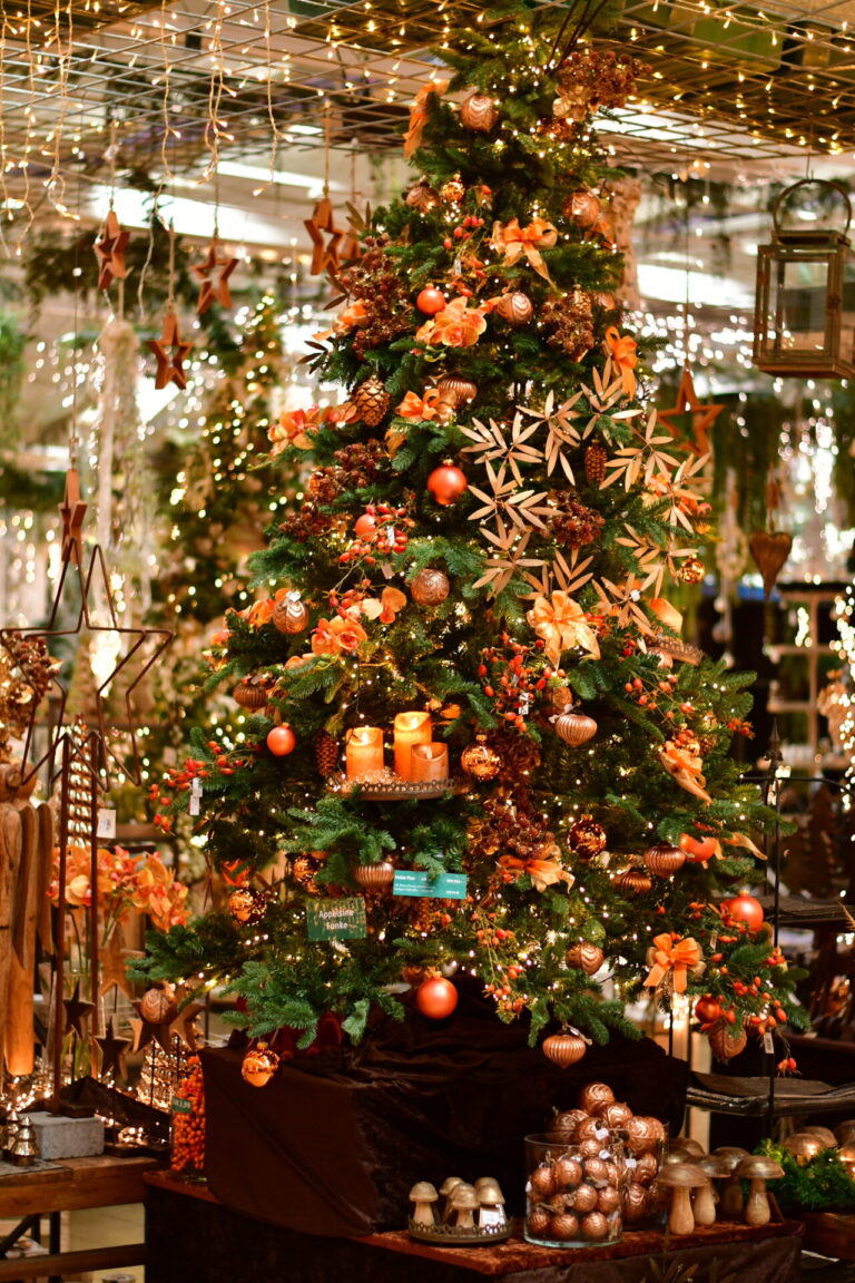 Dinger’s Gartencenter Köln 28 Dinger’s Gartencenter Köln 27