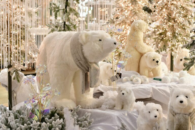 Dinger’s Gartencenter Köln 16 Dinger’s Gartencenter Köln 15