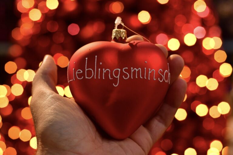 Dinger’s Gartencenter Köln 14 Dinger’s Gartencenter Köln 13