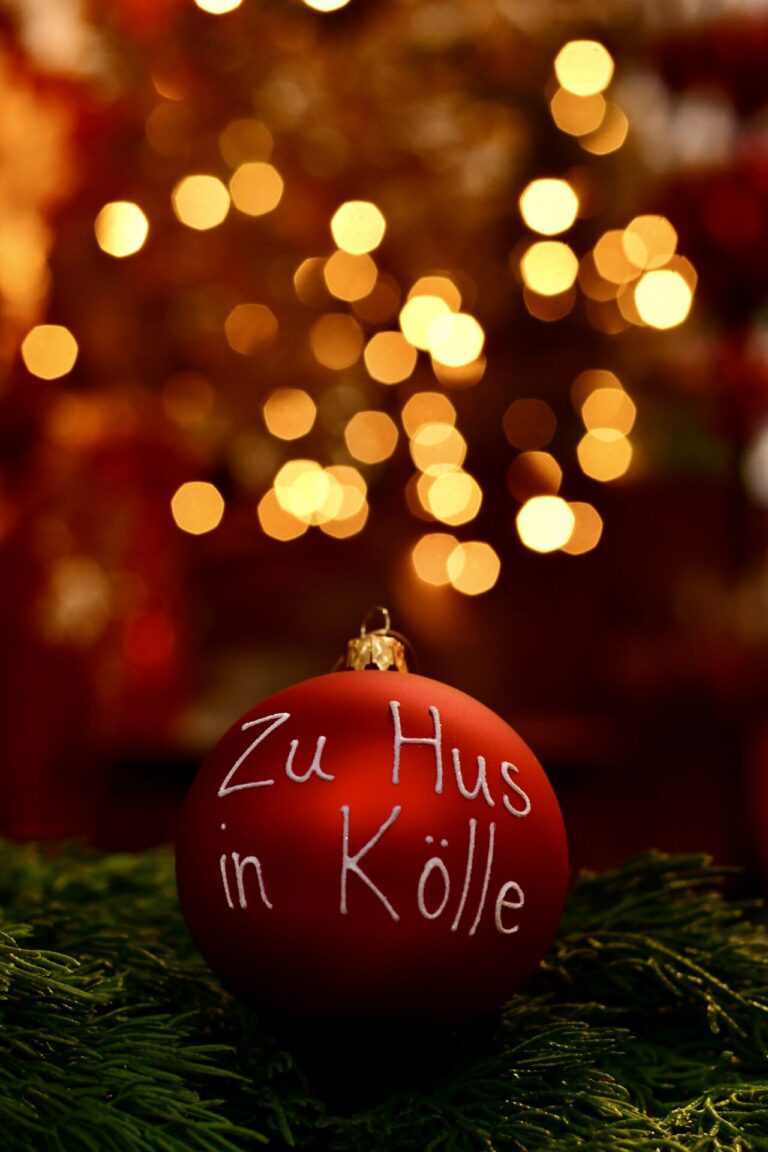 Dinger’s Gartencenter Köln 20 Dinger’s Gartencenter Köln 19