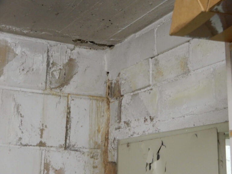 Adolphs Bautenschutz • Garage sanieren, Fahrzeug schützen 1