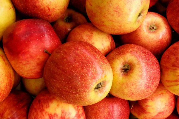 Gartenhof Becker • Apfel- und Gartenfest 2026