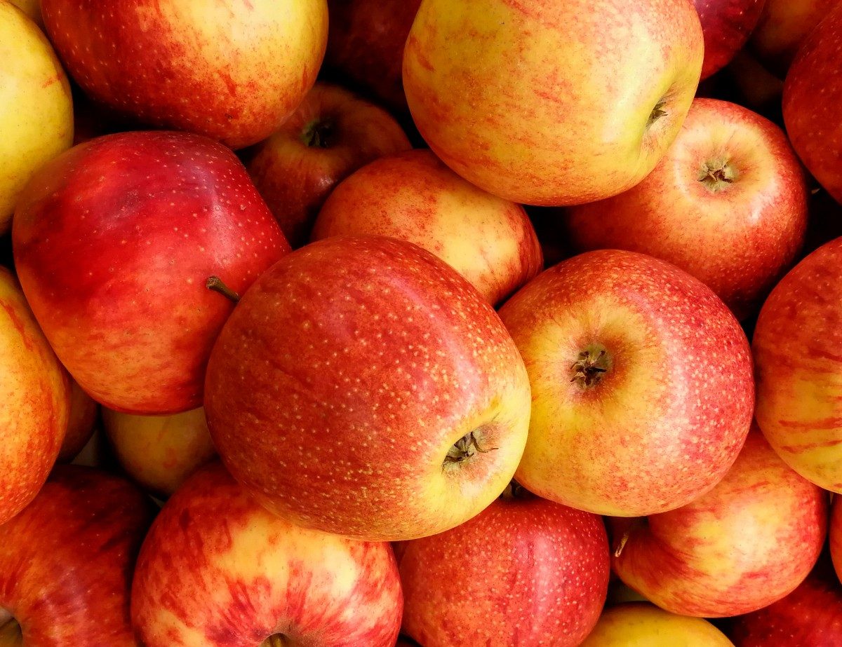 Gartenhof Becker • Apfel- und Gartenfest 2026