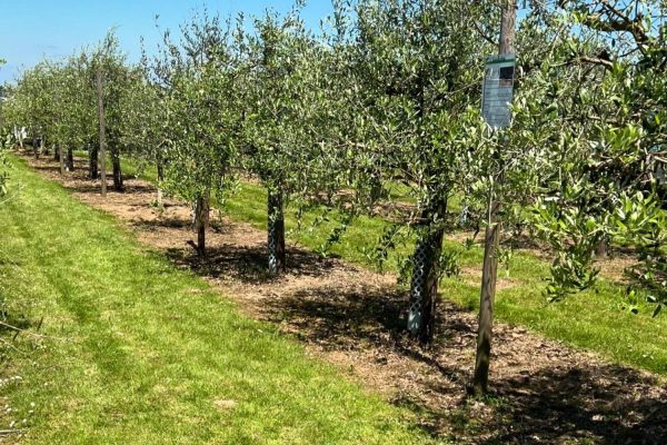 Gartenhof Becker News