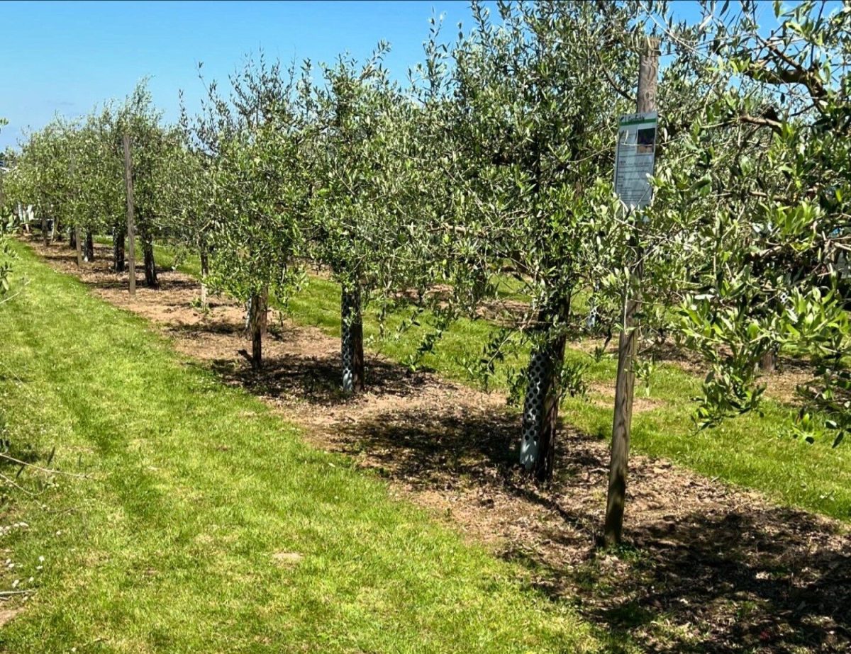 Gartenhof Becker News